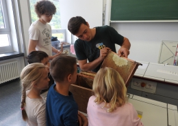 Bienen_KEG